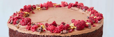 Vegan Birthday Cakes